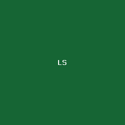لينا الشهري