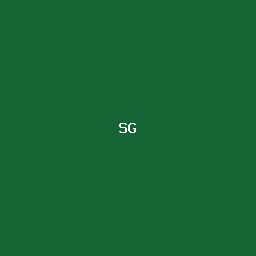 سلمان الغامدي