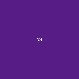 ناصر الشيباني